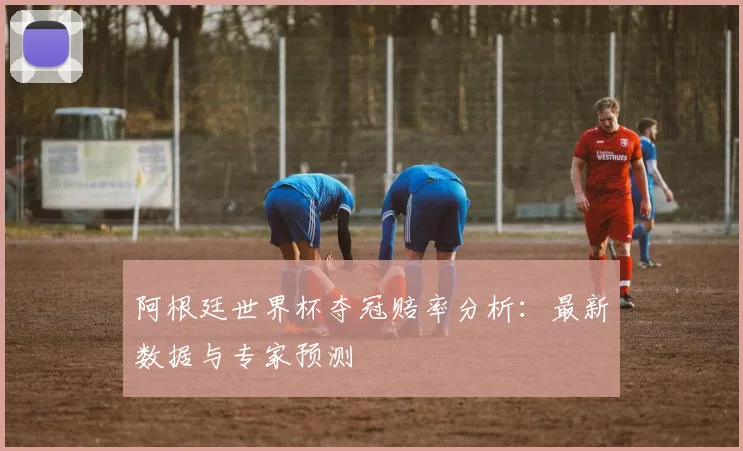 阿根廷世界杯夺冠赔率分析：最新数据与专家预测