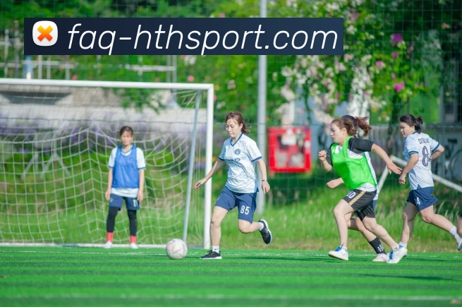 华体会平台生态图